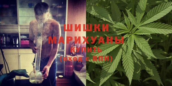 сатива Баксан