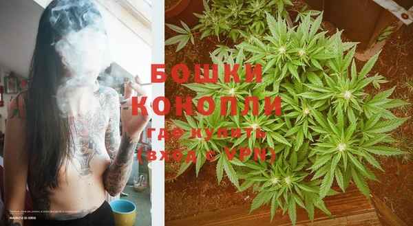 тгк Белокуриха