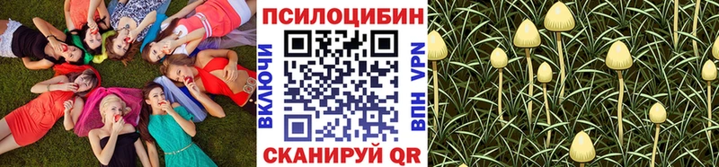 Псилоцибиновые грибы GOLDEN TEACHER  наркошоп  мега tor  Кузнецк 