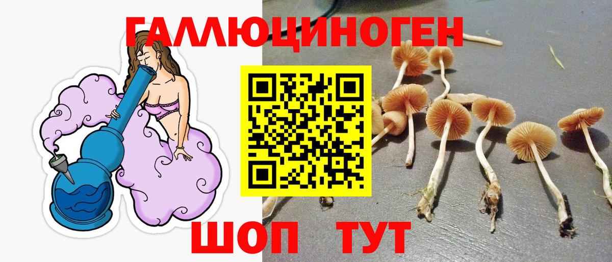 Галлюциногенные грибы MAGIC MUSHROOMS Кузнецк