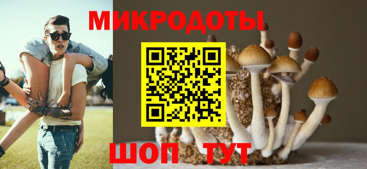 Псилоцибиновые грибы Psilocybe  Вход с VPN  Кузнецк  Галлюциногенные грибы прущие грибы 