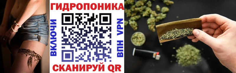 OMG tor  даркнет какой сайт  Бошки Шишки планчик  Кузнецк 