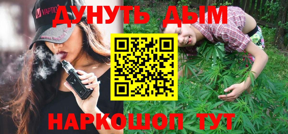 Бошки Шишки план  Каннабис VHQ  Вход с VPN  Кузнецк  Шишки марихуана план 